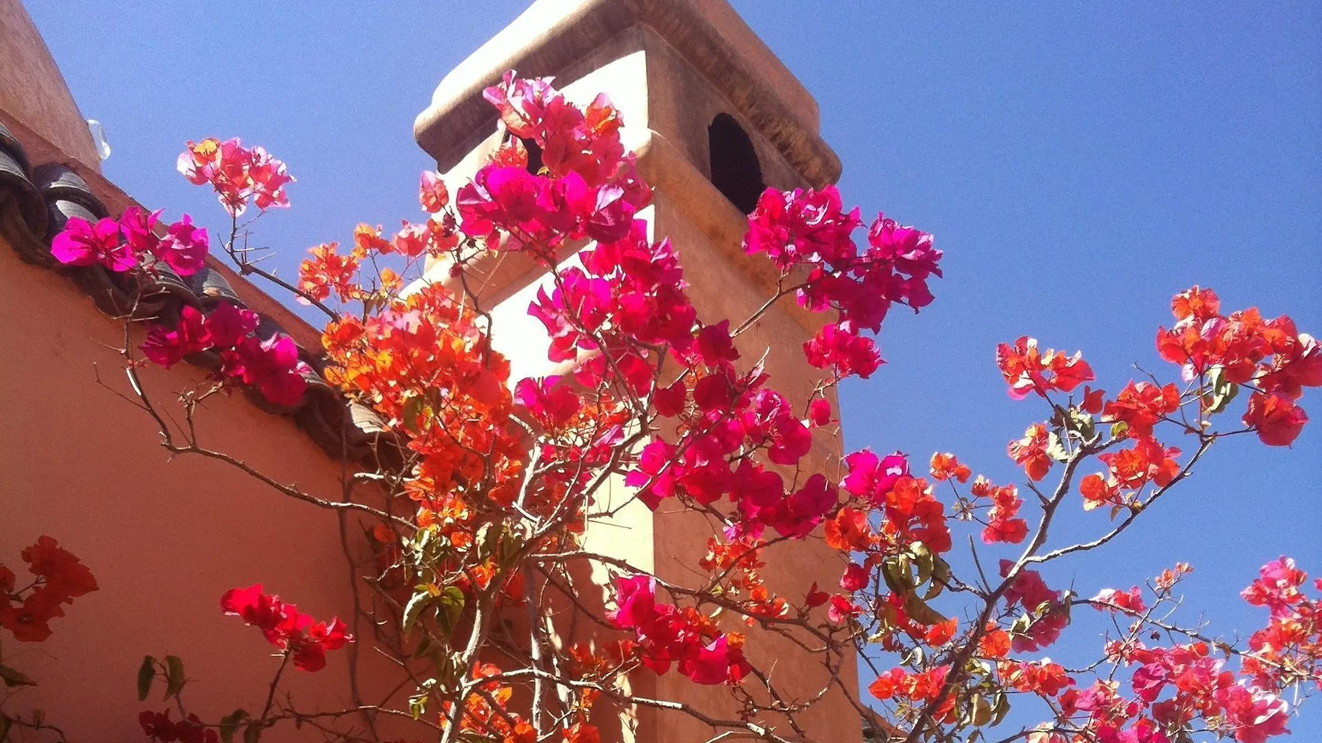 Dar Sohane مراكش رياد
